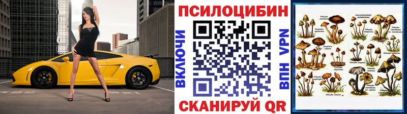 Галлюциногенные грибы мицелий  blacksprut онион  Ардатов 